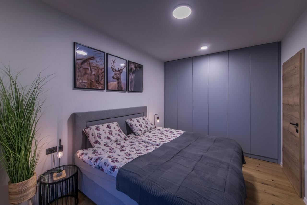 Apartmaji Harpf 斯洛文尼亚格拉代茨 外观 照片
